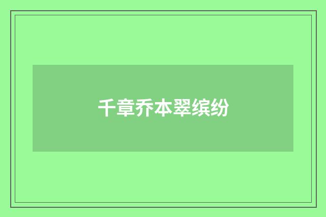 千章乔本翠缤纷