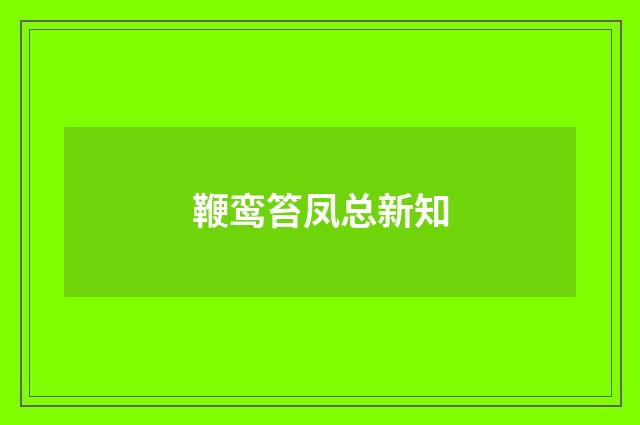 鞭鸾笞凤总新知