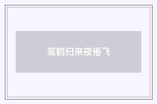 鸾鹤归来夜倦飞
