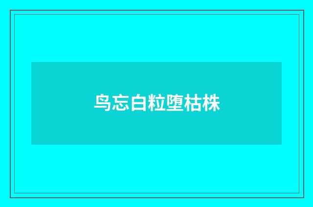 鸟忘白粒堕枯株