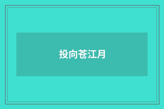 投向苍江月