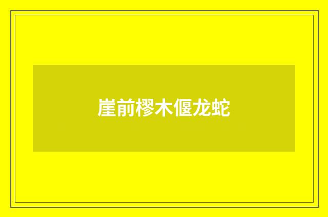 崖前樛木偃龙蛇