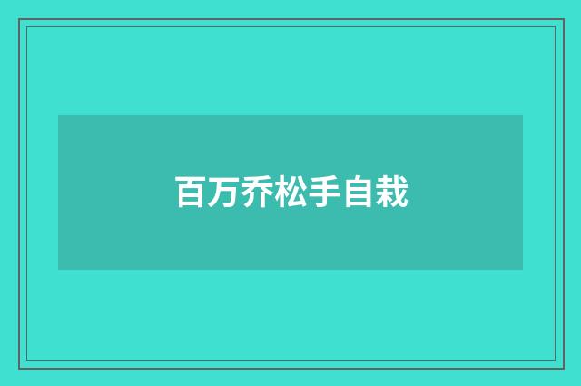 百万乔松手自栽