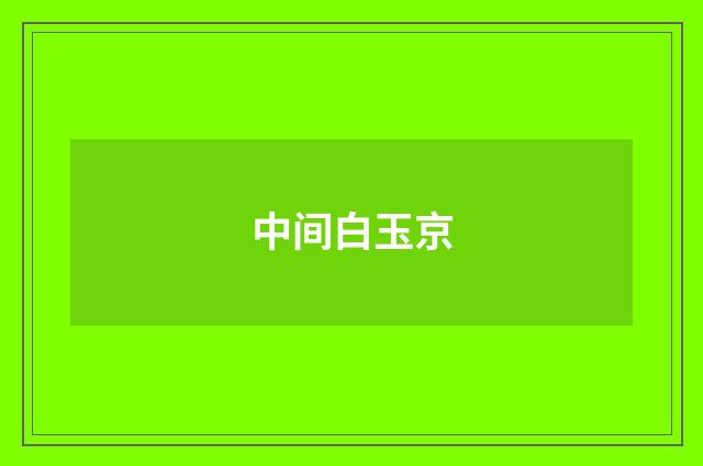 中间白玉京