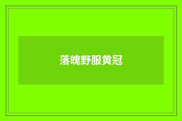 落魄野服黄冠
