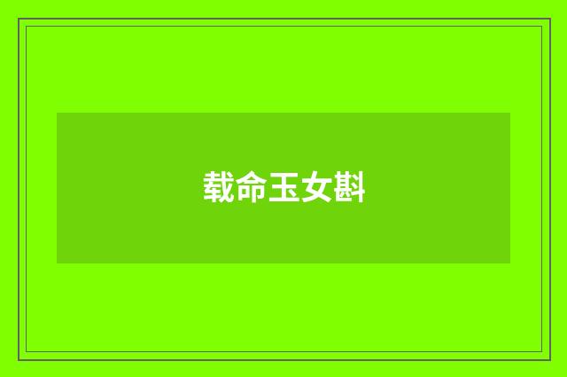 载命玉女斟