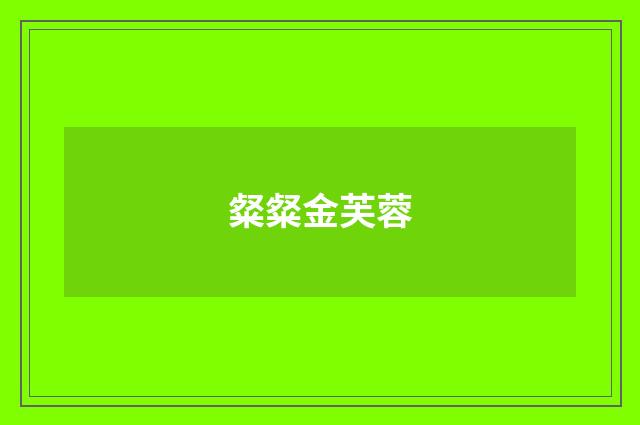 粲粲金芙蓉