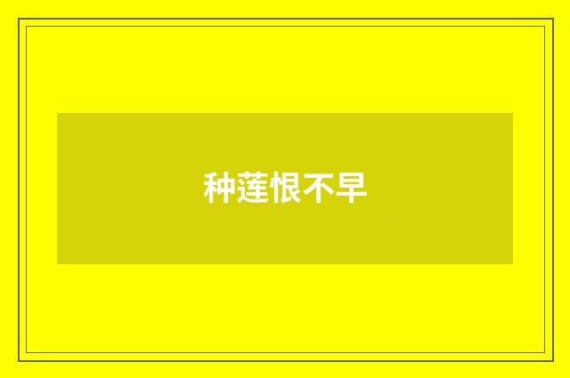 种莲恨不早