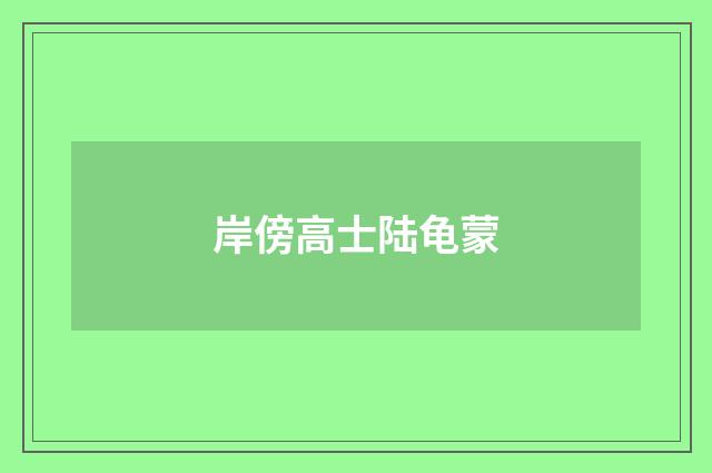 岸傍高士陆龟蒙