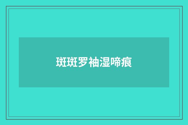斑斑罗袖湿啼痕