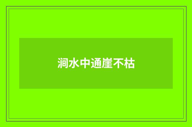 涧水中通崖不枯