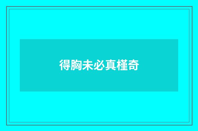 得胸未必真槿奇