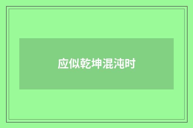 应似乾坤混沌时