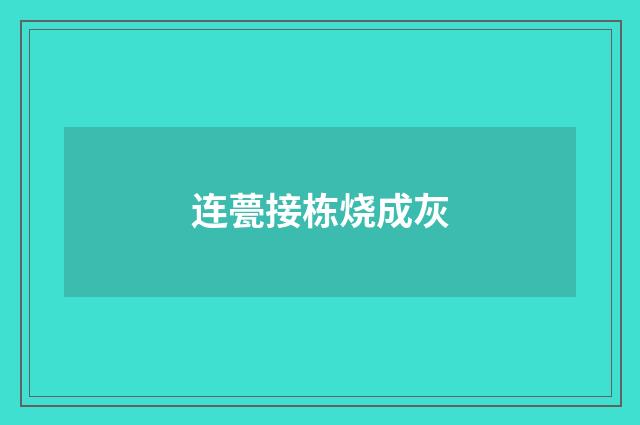 连甍接栋烧成灰