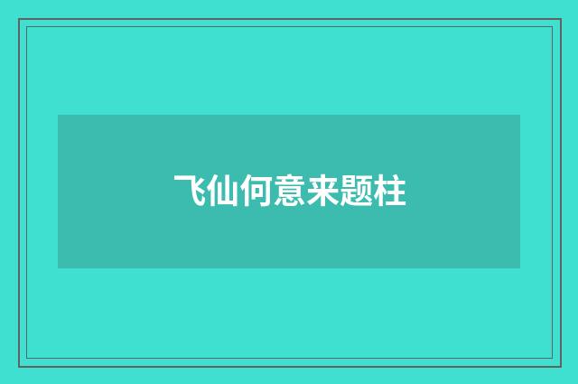 飞仙何意来题柱