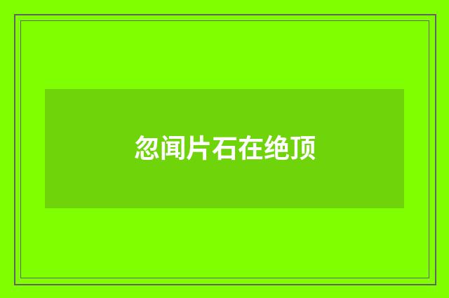 忽闻片石在绝顶