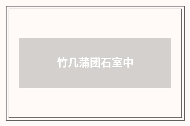 竹几蒲团石室中