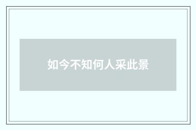 如今不知何人采此景