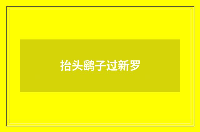 抬头鹞子过新罗