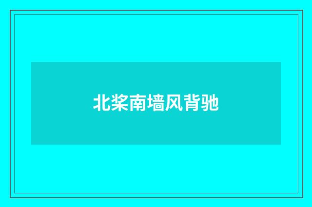 北桨南墙风背驰
