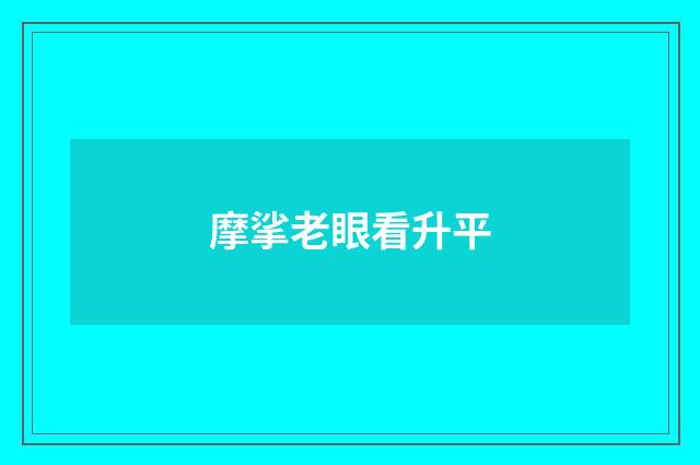 摩挲老眼看升平