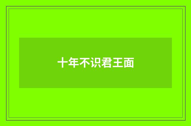 十年不识君王面