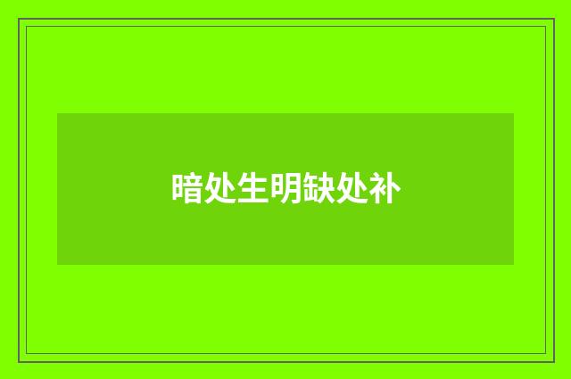 暗处生明缺处补