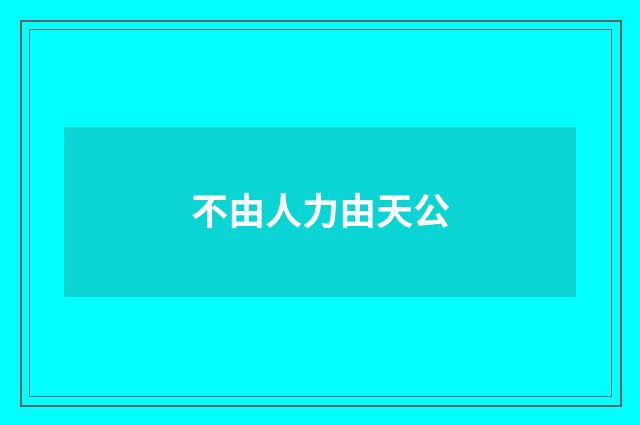 不由人力由天公