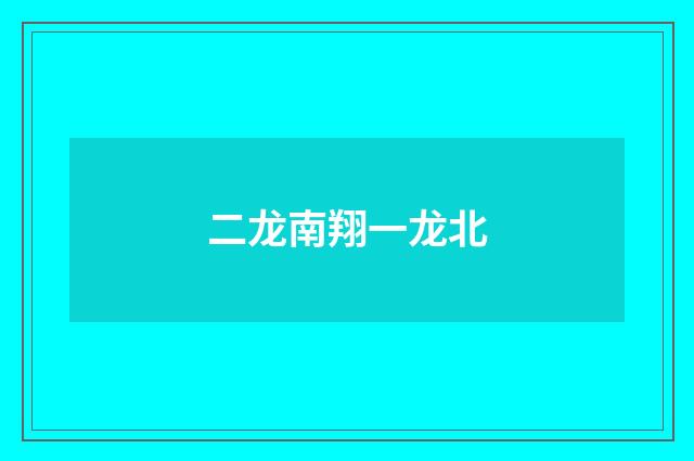 二龙南翔一龙北