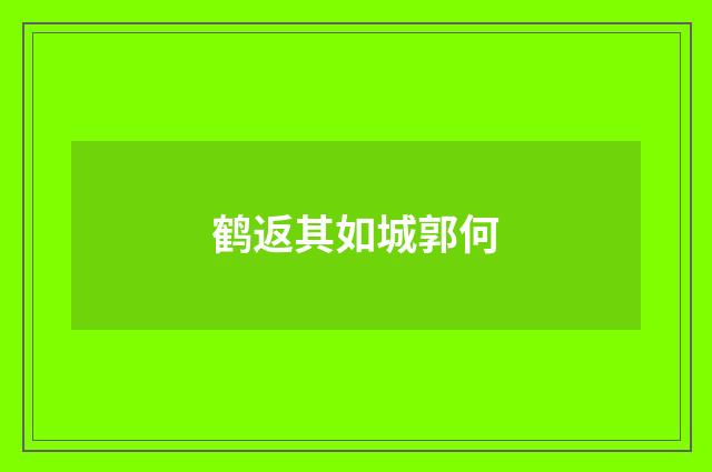 鹤返其如城郭何