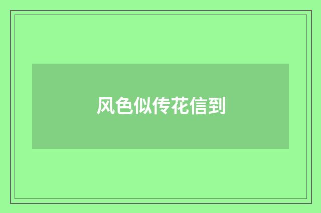 风色似传花信到