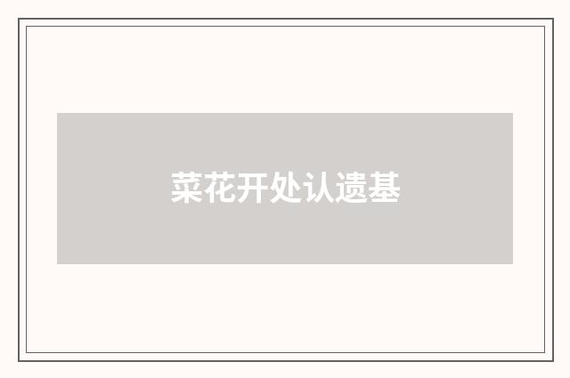 菜花开处认遗基