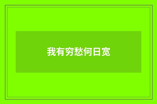 我有穷愁何日宽