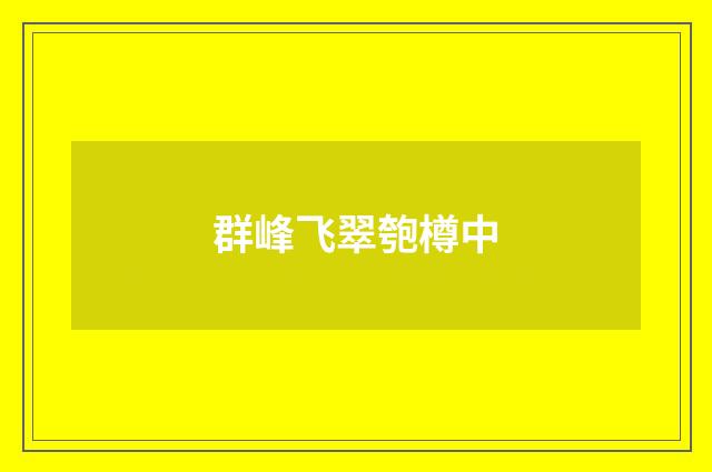 群峰飞翠匏樽中