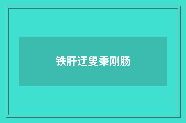 铁肝迂叟秉刚肠