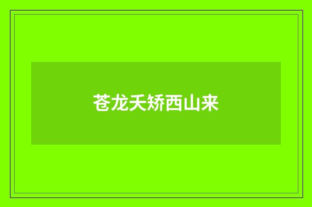 苍龙夭矫西山来