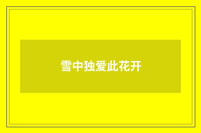 雪中独爱此花开