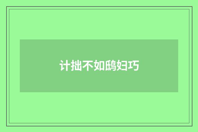 计拙不如鸱妇巧