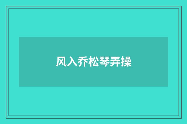 风入乔松琴弄操