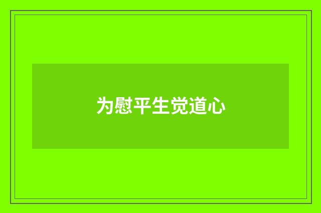 为慰平生觉道心