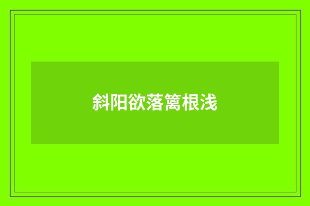 斜阳欲落篱根浅