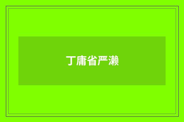 丁庸省严濑