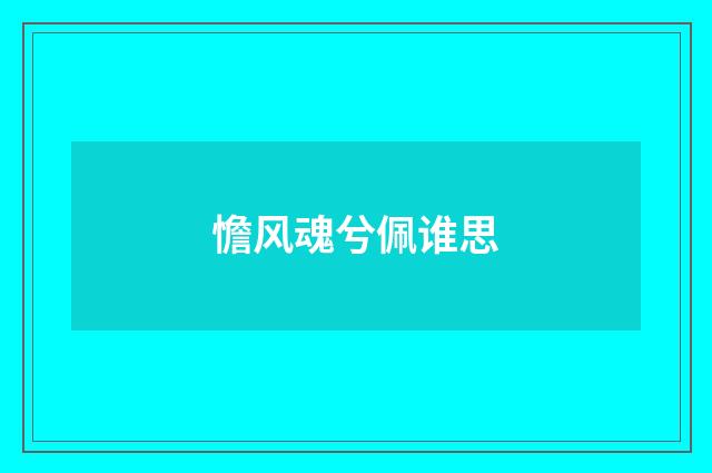 憺风魂兮佩谁思