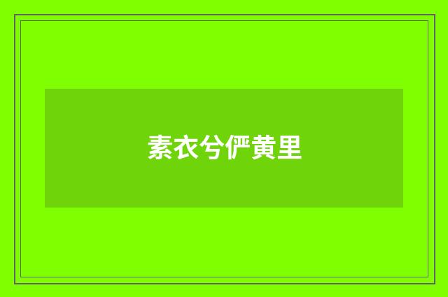 素衣兮俨黄里