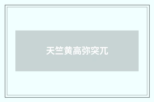 天竺黄高弥突兀