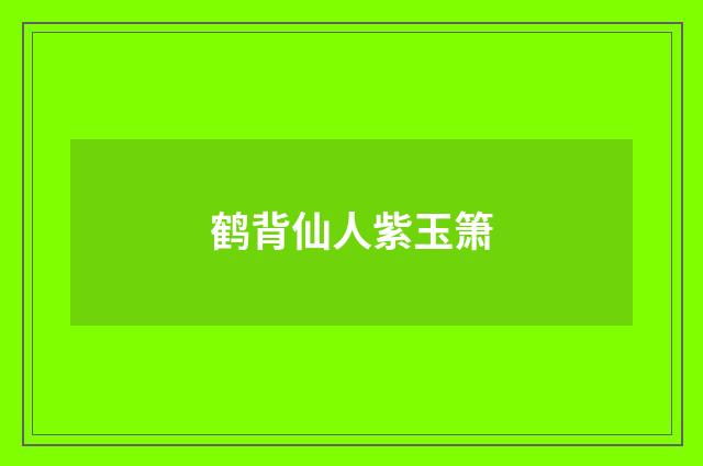鹤背仙人紫玉箫