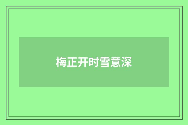 梅正开时雪意深