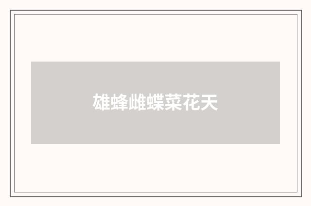 雄蜂雌蝶菜花天