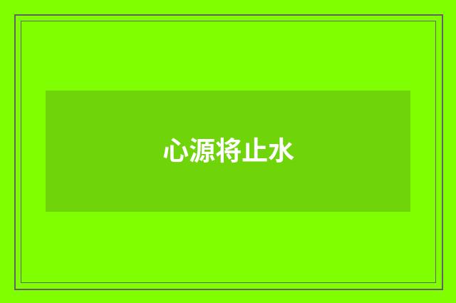 心源将止水