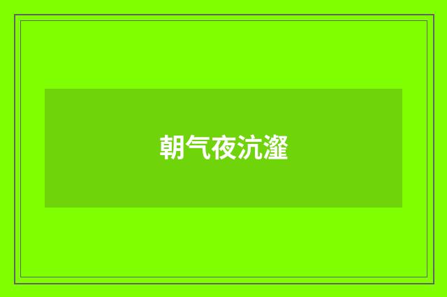 朝气夜沆瀣